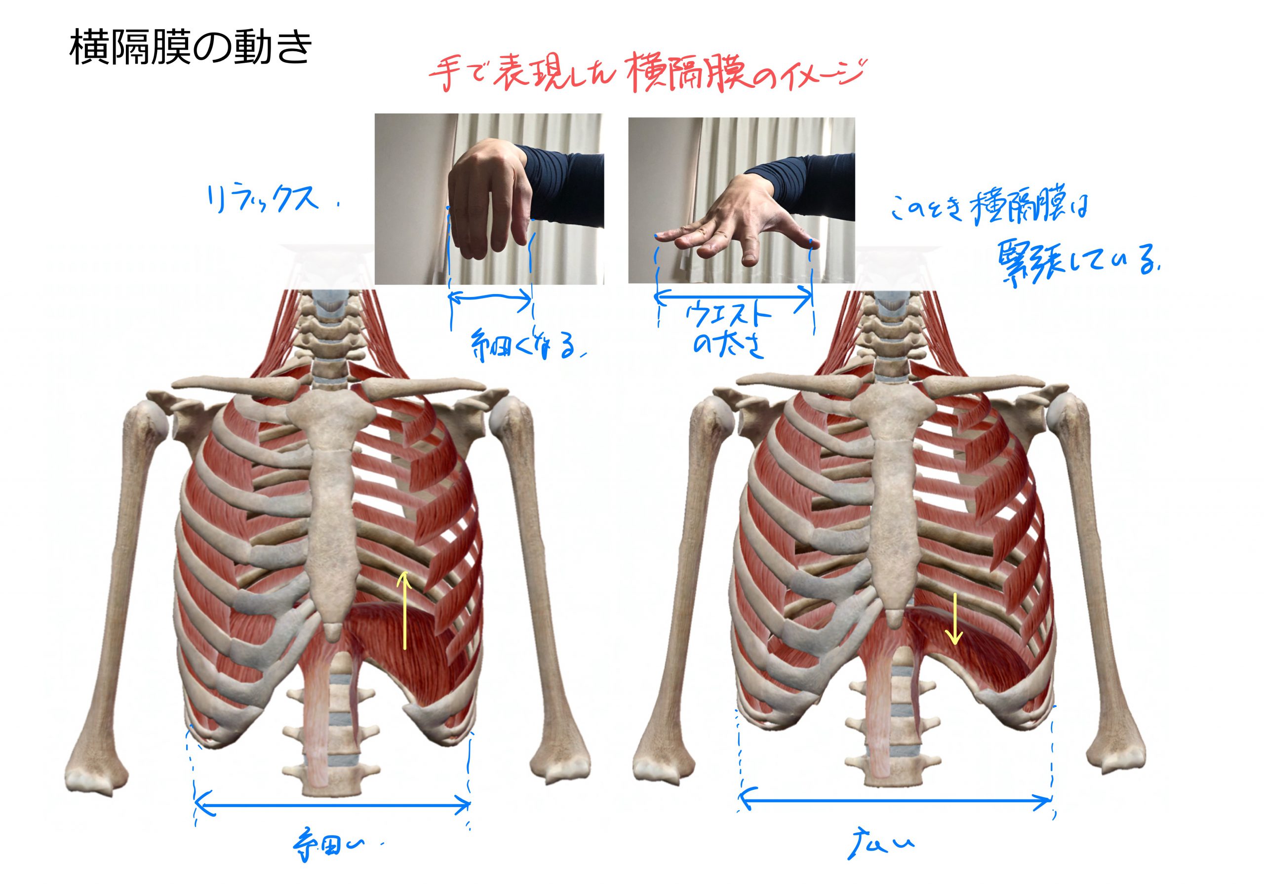 068A8F07-4002-4472-A728-D15C1FD0AD34