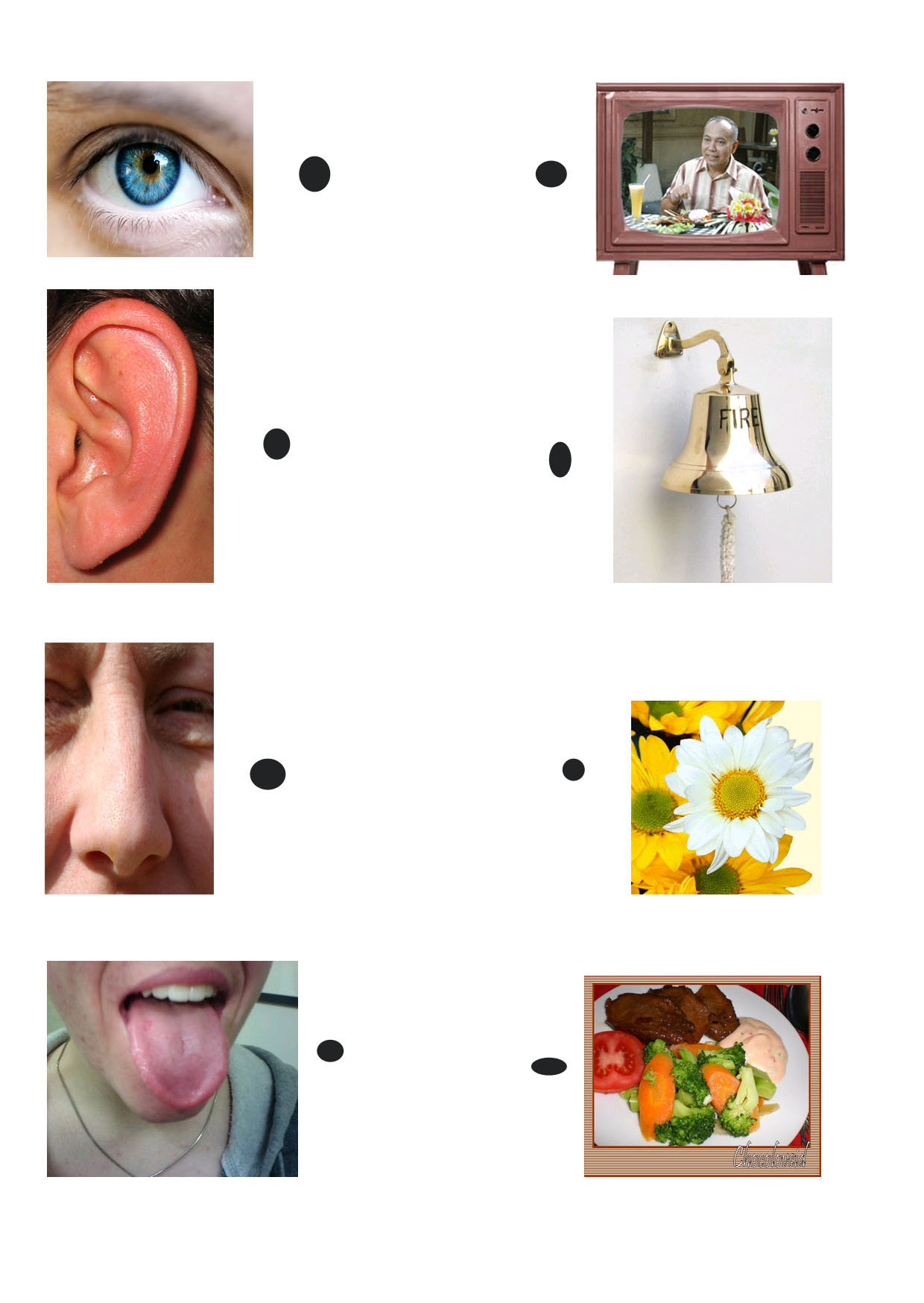 Worksheet Panca Indra Paud