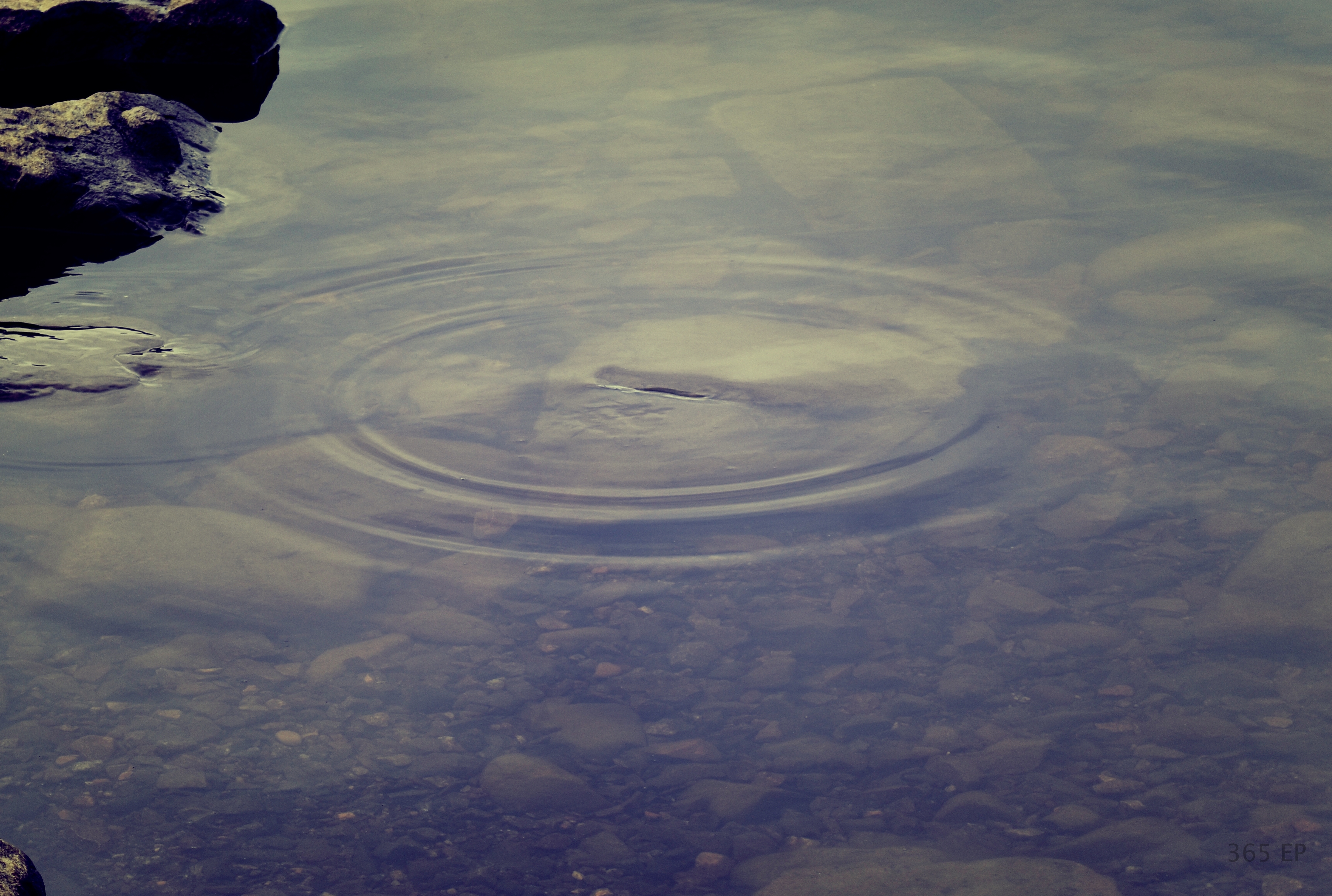 circle