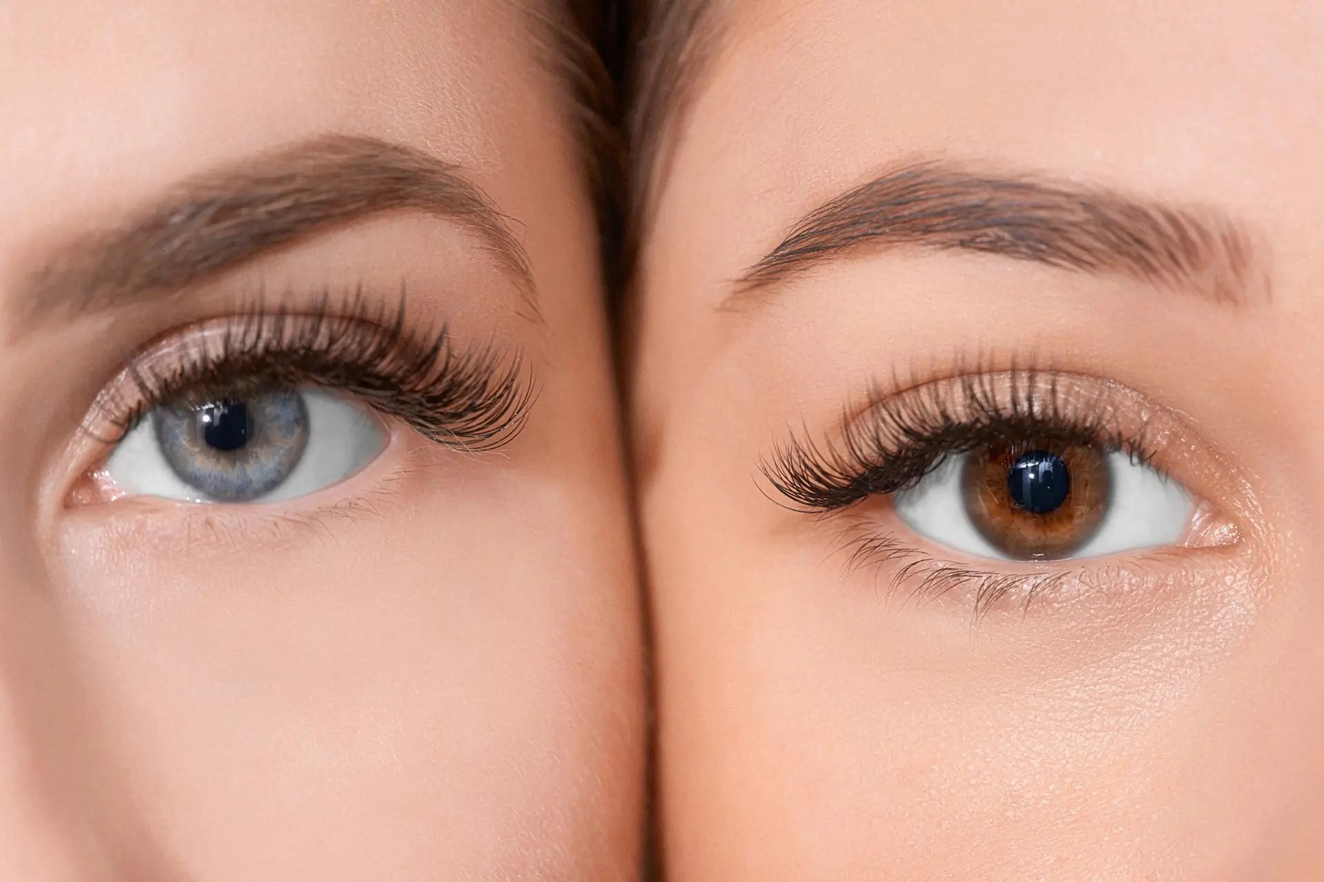 Classic Lashes Forest Hills Queens NYC