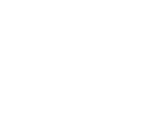 Web & App Development