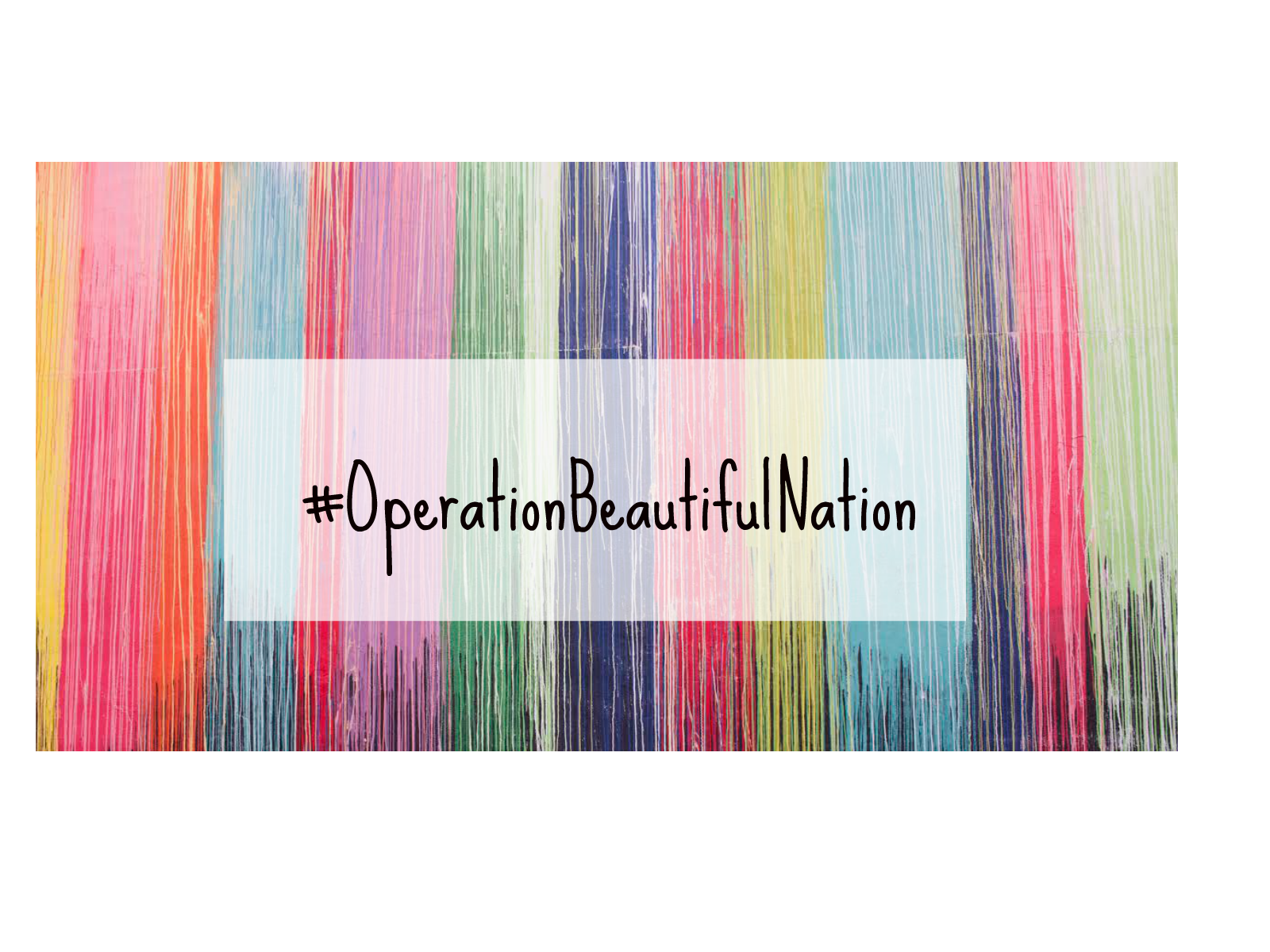 Operation Beautiful Nation
