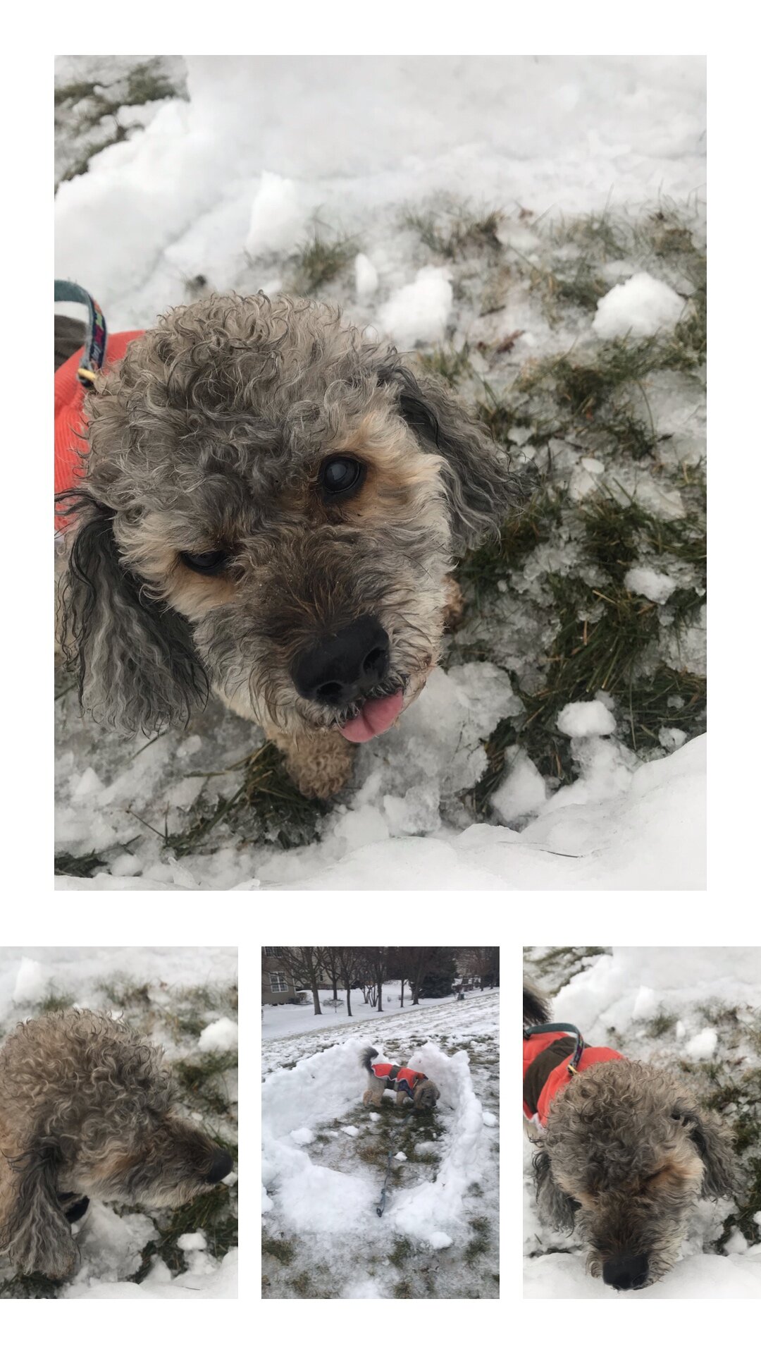 How I’m Staying Active During Winter