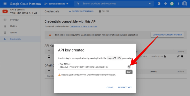 copy api key