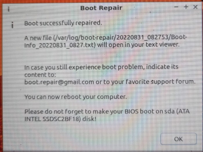 boot successfully repaired