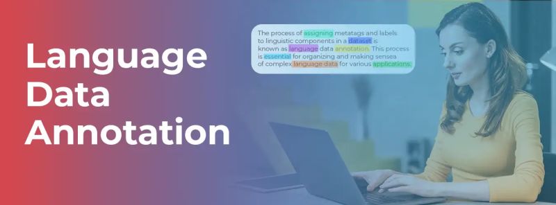 A Comprehensive Guide To Data Annotation Macgence - Incredible Vintage Photo - Desktop