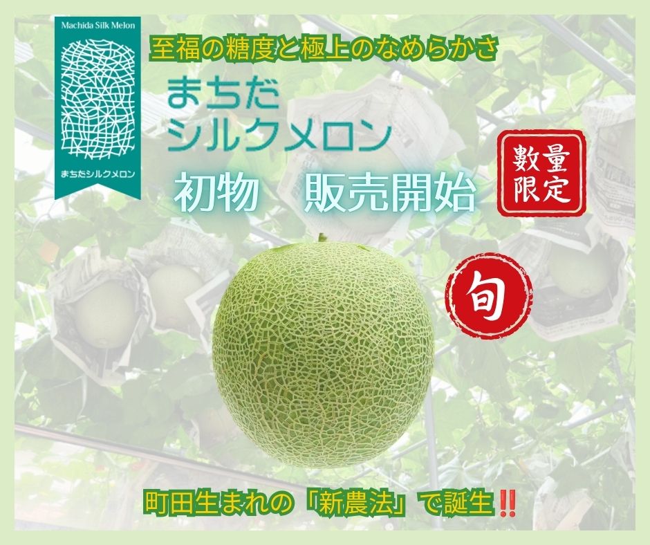 メロンページ メロンのお届け | まちだシルクメロン 公式ホームページ | 町田式新