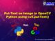 Put Text On Image In Opencv Python Using Cv2 Puttext With Examples - Premium Vintage Image Gallery - Ultra HD