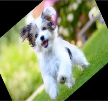 How To Rotate Image By Angle In Python With Opencv And Imutils Libraries Mlk Machine - Desktop Geometric Photos for Desktop