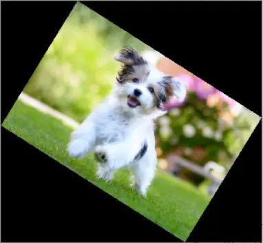 How To Rotate Image By Angle In Python With Opencv And Imutils Libraries Mlk Machine - Download Premium Minimal Wallpaper | Ultra HD