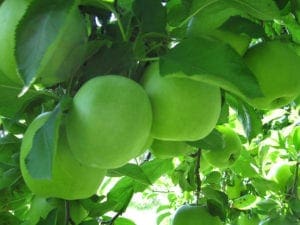 Ensemble Machine Learning Algorithms In Python With Scikit Learn Machinelearningmastery Com - Abstract Photos - Premium Ultra HD Collection