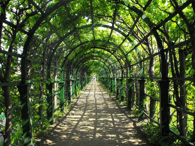 Weka Machine Learning Mini Course Machinelearningmastery Com - Premium Nature Background Gallery - Retina