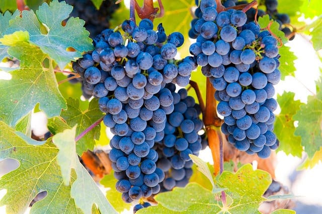 Gradient Descent With Linear Regression From Scratch In Python - Ocean Illustration Collection - 8K Quality