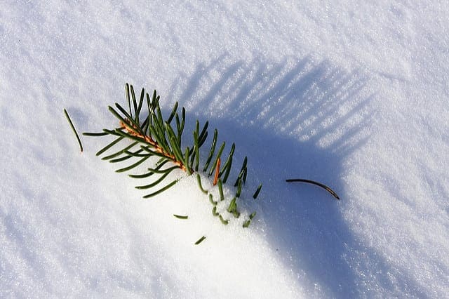 How To Create An Algorithm Test Harness From Scratch With Python - Mountain Art Collection - 4K Quality