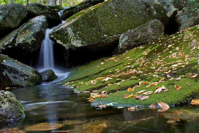 Classification And Regression Trees For Machine Learning Machinelearningmastery Com - Download Elegant Abstract Photo | Mobile