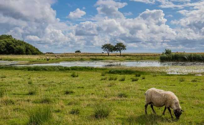 How To Develop A Gradient Boosting Machine Ensemble In Python ...