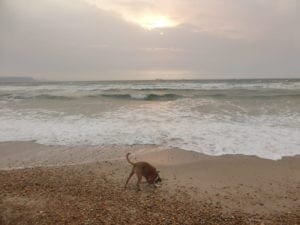 Cross Validation In Machine Learning Using Python - Premium Ultra HD Vintage Wallpapers | Free Download