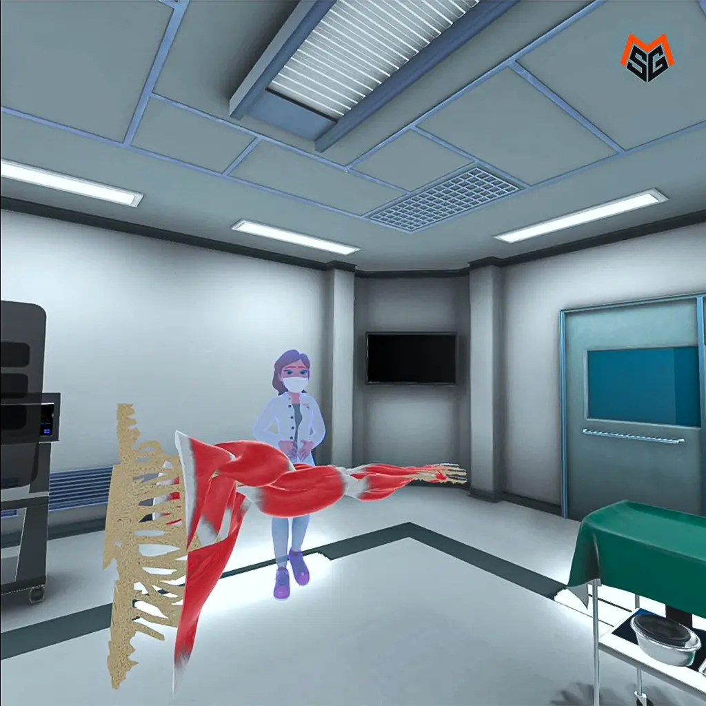 Muscle_VR