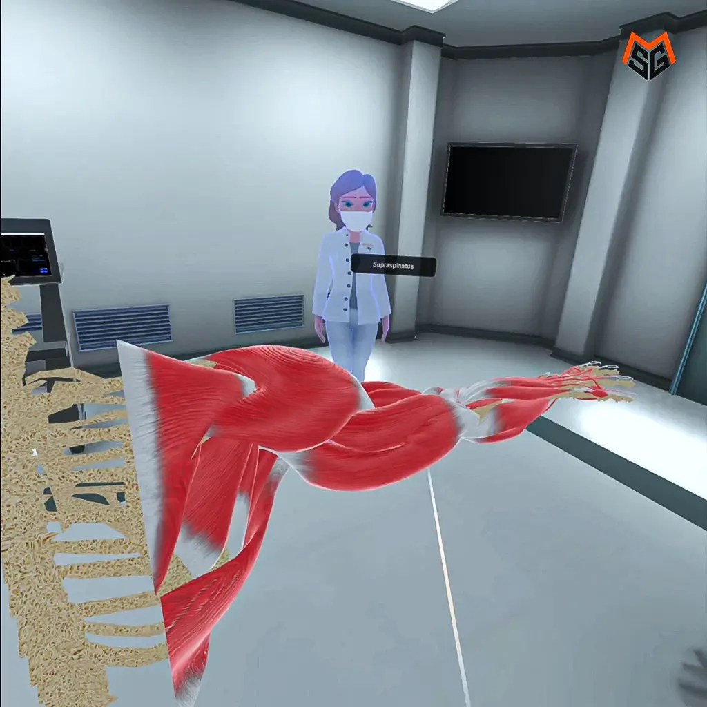 Muscle_VR_02