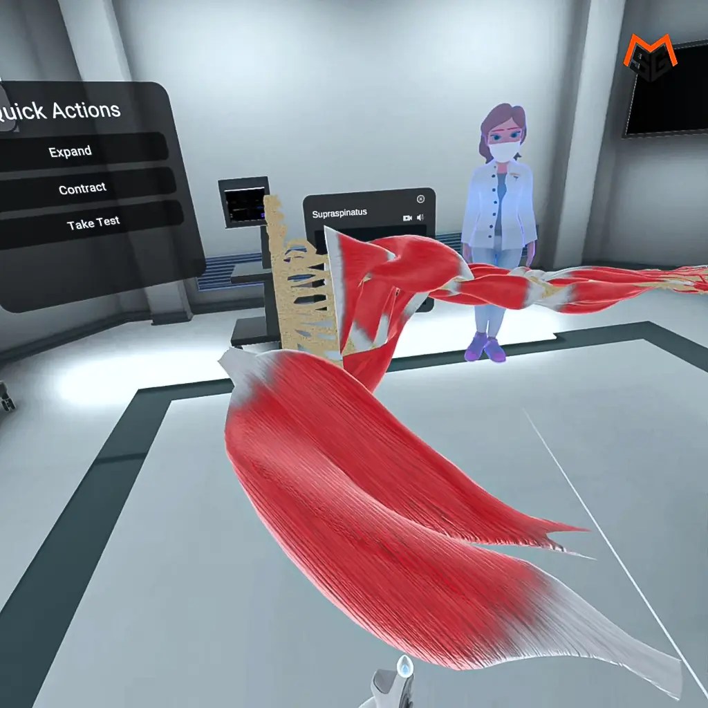 Muscle_VR_023