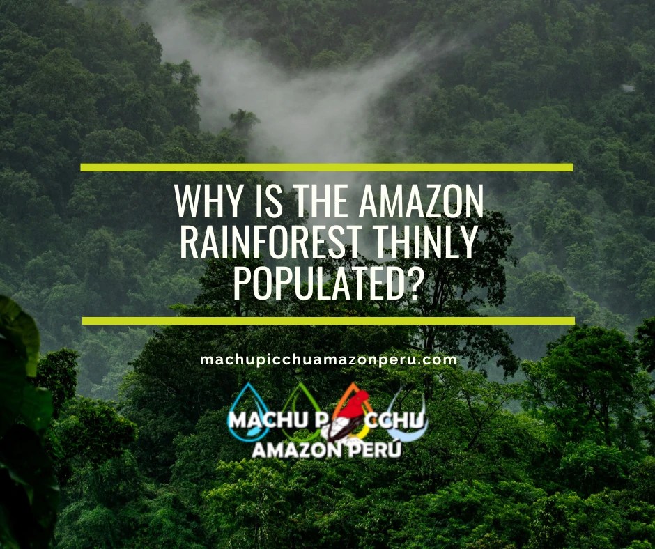 Why is the Amazon rainforest thinly populated?