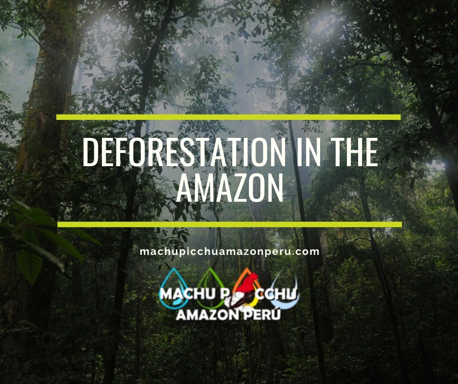 Deforestation in the Amazon