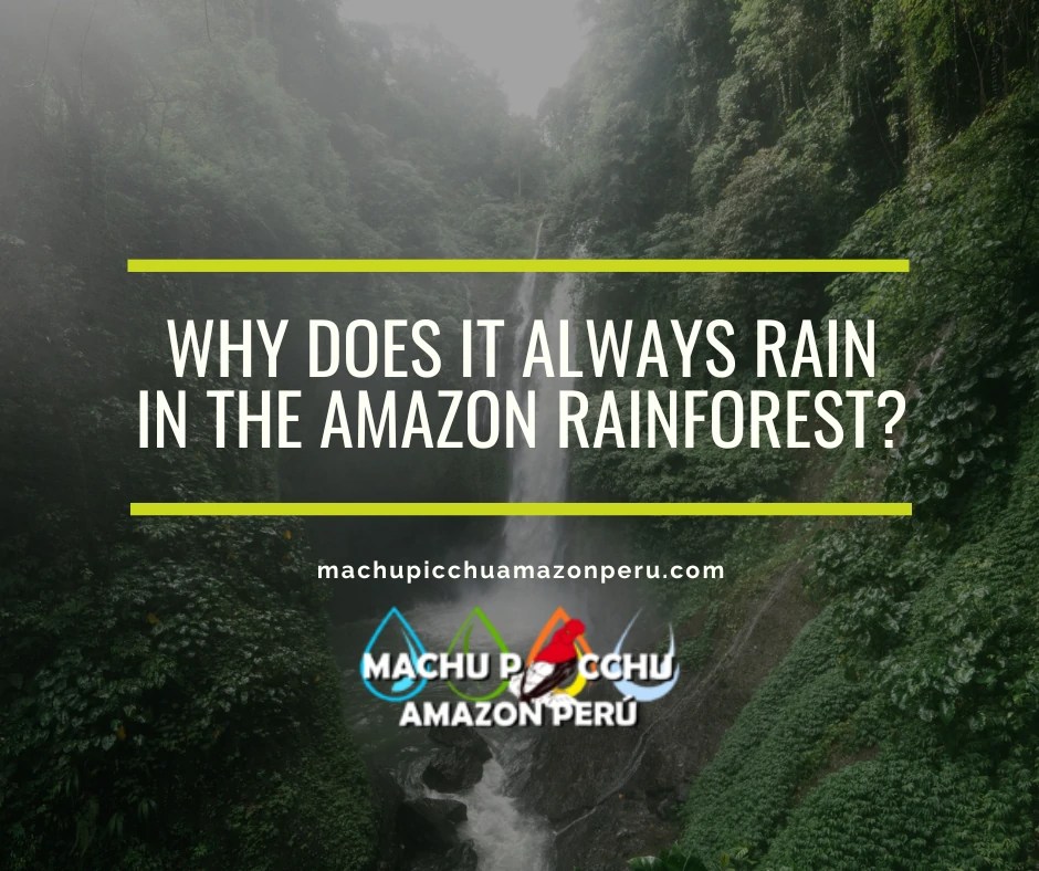 Why does it always rain in the Amazon rainforest?