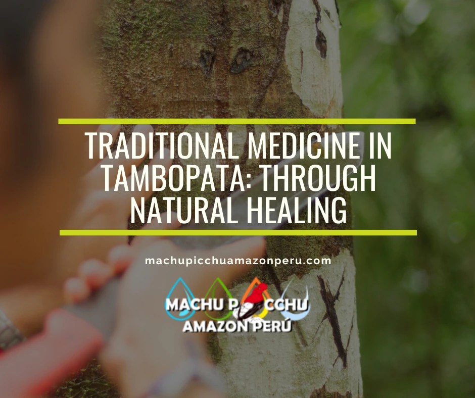 Traditional Medicine in Tambopata