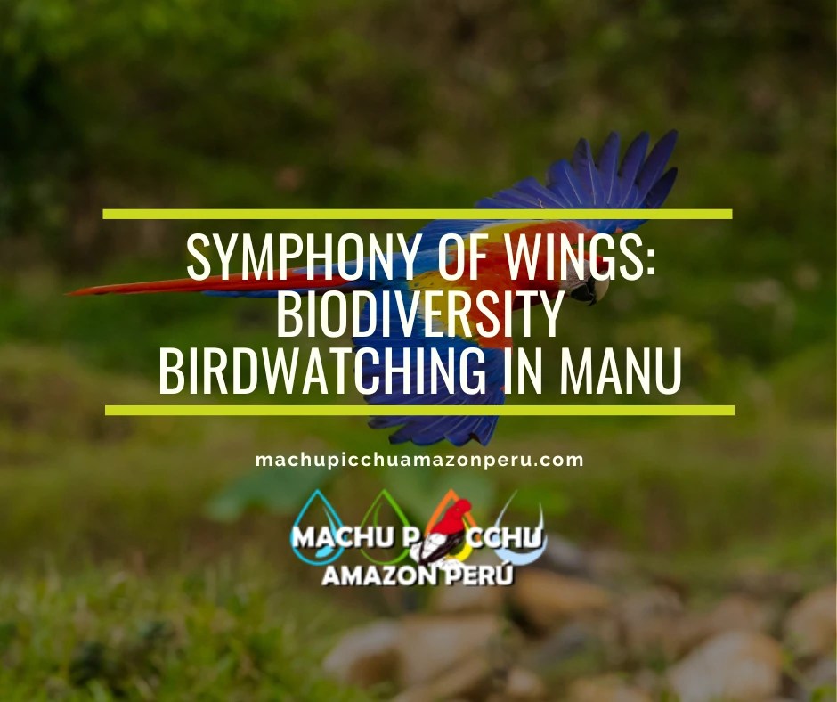 Symphony of Wings: Biodiversity Birdwatching in Manu