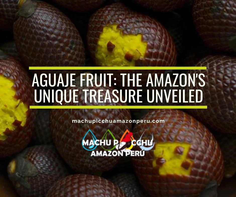 Aguaje Fruit
