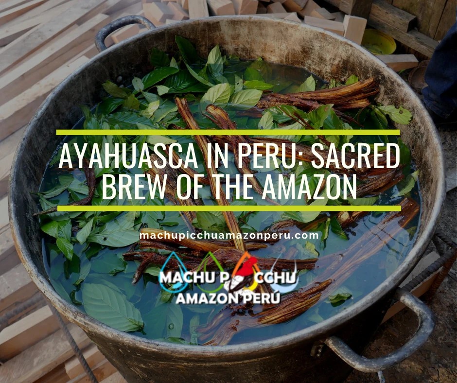 Ayahuasca in Peru