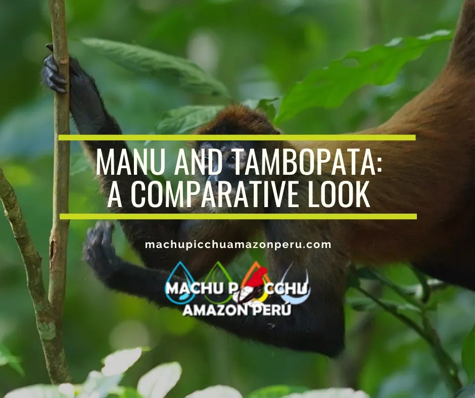 Manu and Tambopata: A Comparative Look