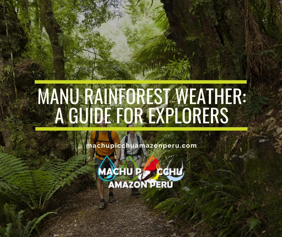 Manu Rainforest Weather: A Guide for Explorers