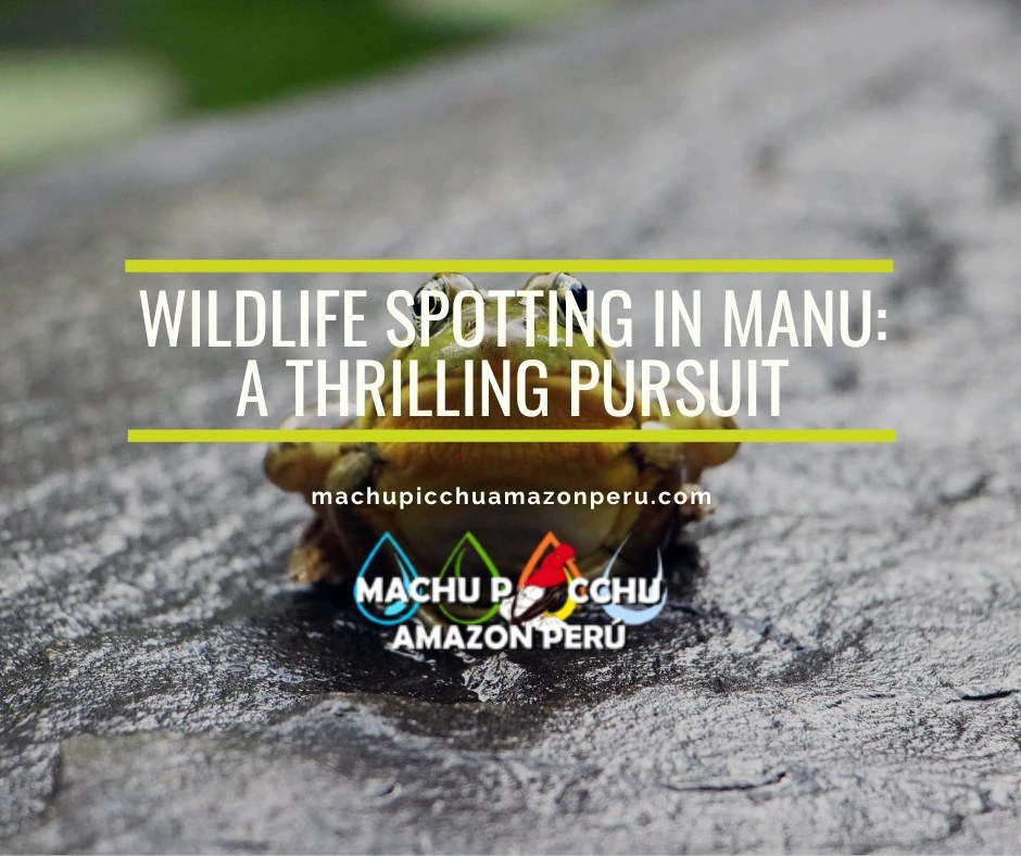 Wildlife Spotting in Manu
