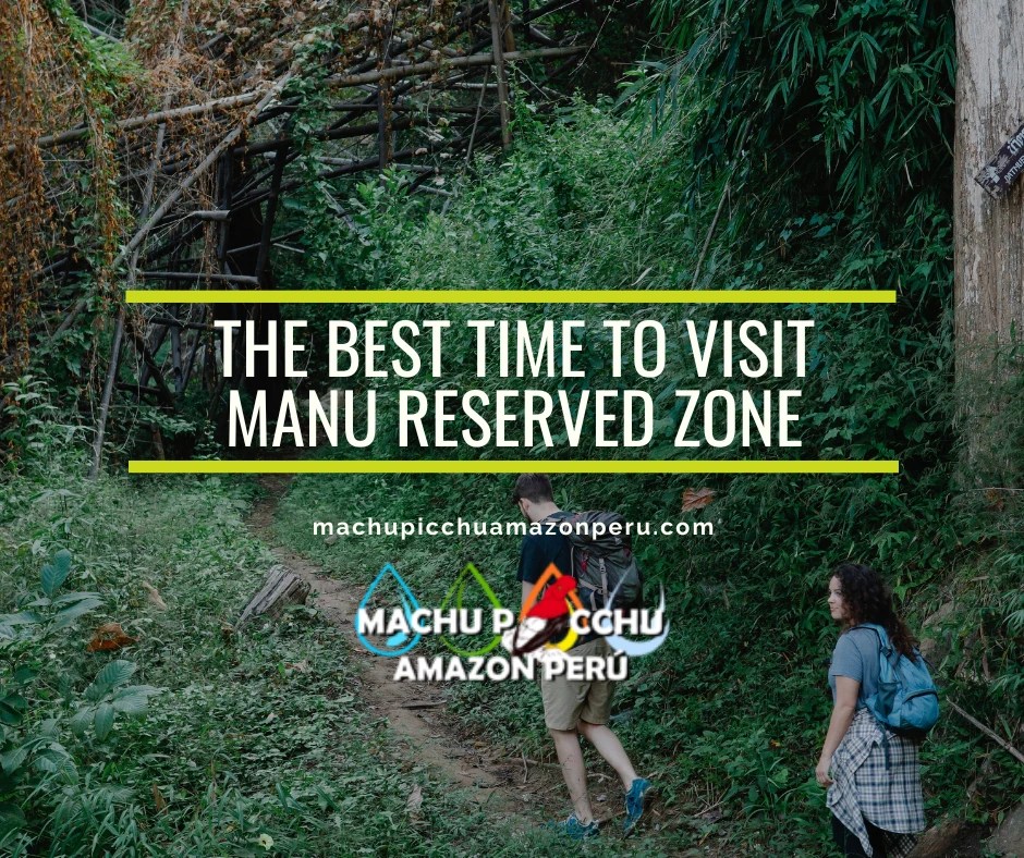 The Best Time to Visit Manu Reserved Zone