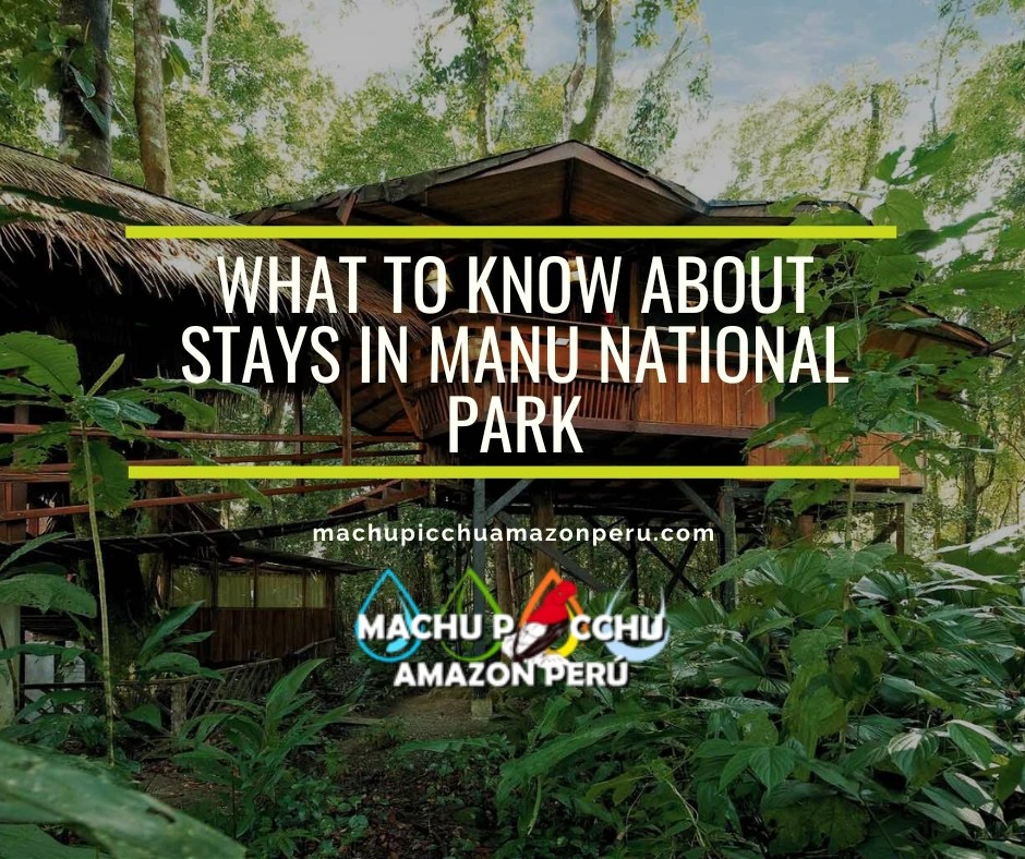 What to Know About Stays in Manu National Park