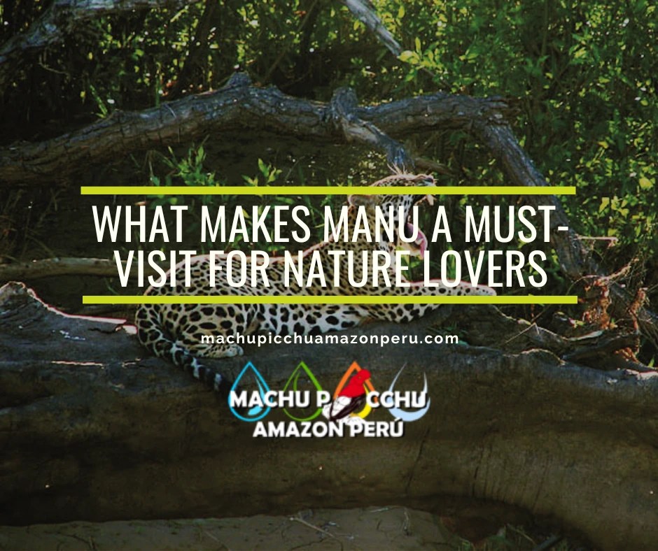 What Makes Manu a Must-Visit for Nature Lovers