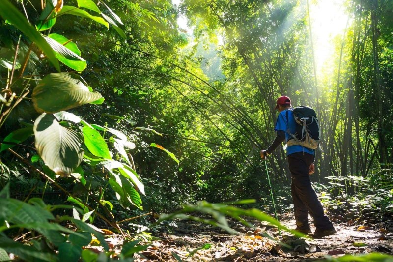 Manu for Solo Travelers: Getting There Safely