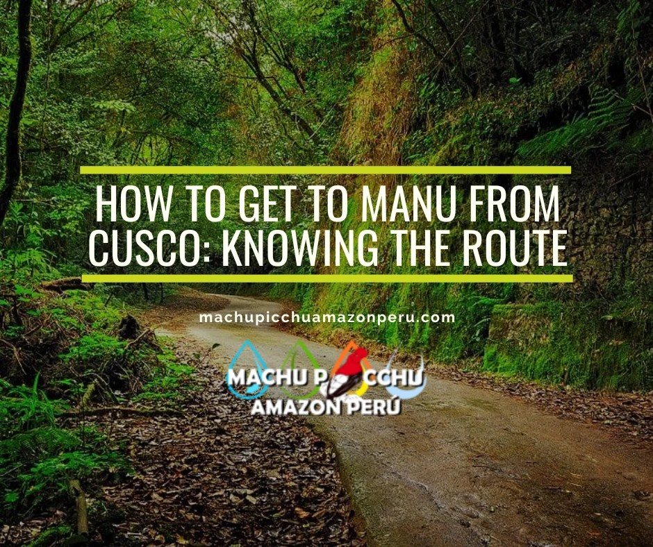 How to get to Manu from Cusco: Knowing the Route