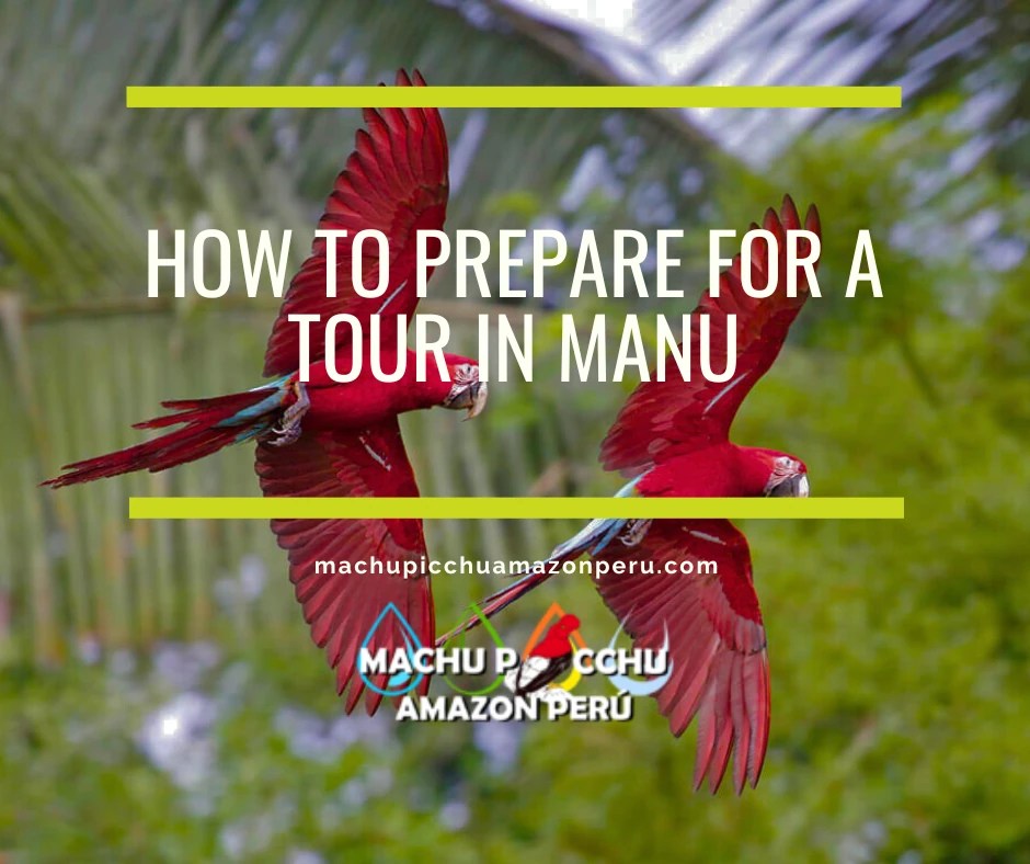 How to Prepare for a Tour in Manu