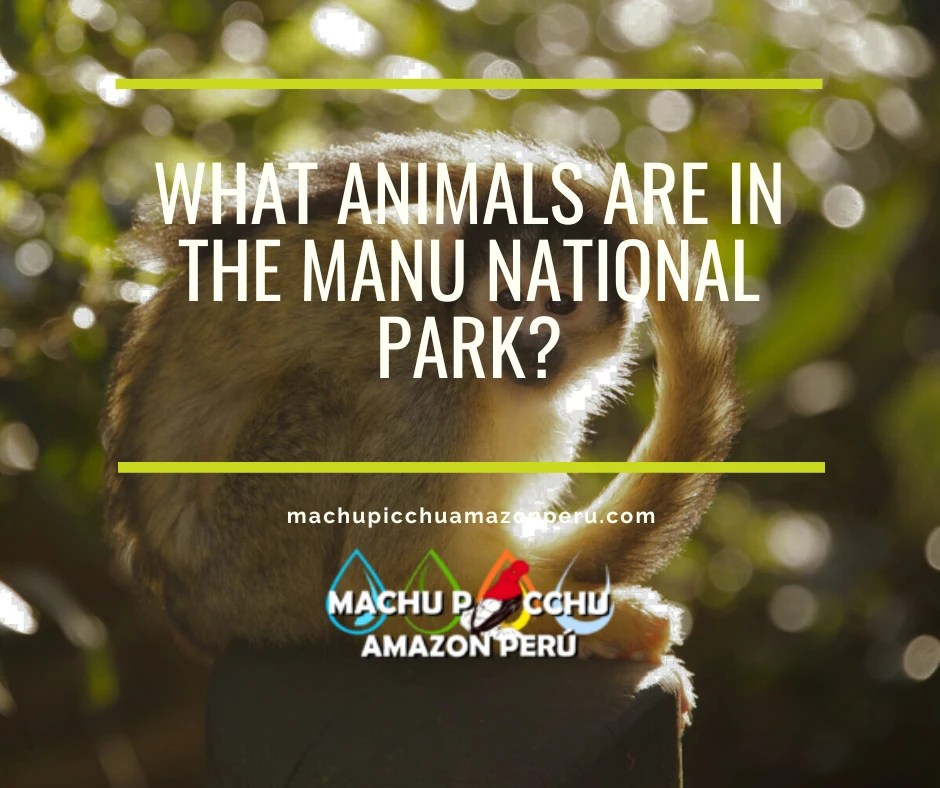 What animals are in the Manu National Park?