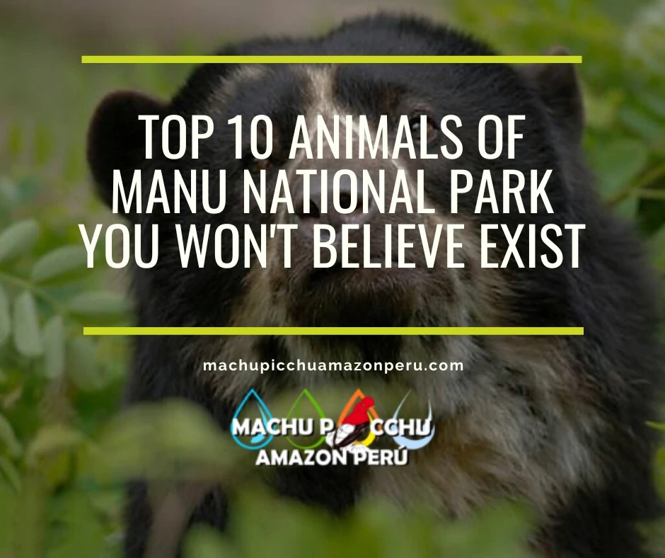 Top 10 Animals of Manu National Park You Won't Believe Exist