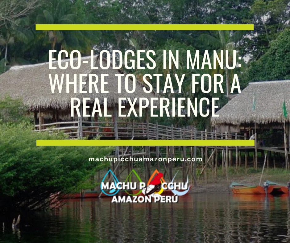 Eco-Lodges in Manu: Where to Stay for a Real Experience