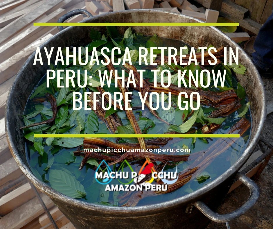 Ayahuasca Retreats in Peru: What to Know Before You Go