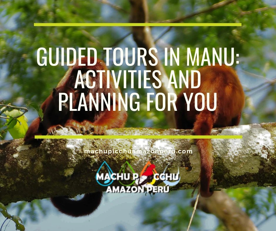 Guided Tours in Manu: Activities and Planning for You