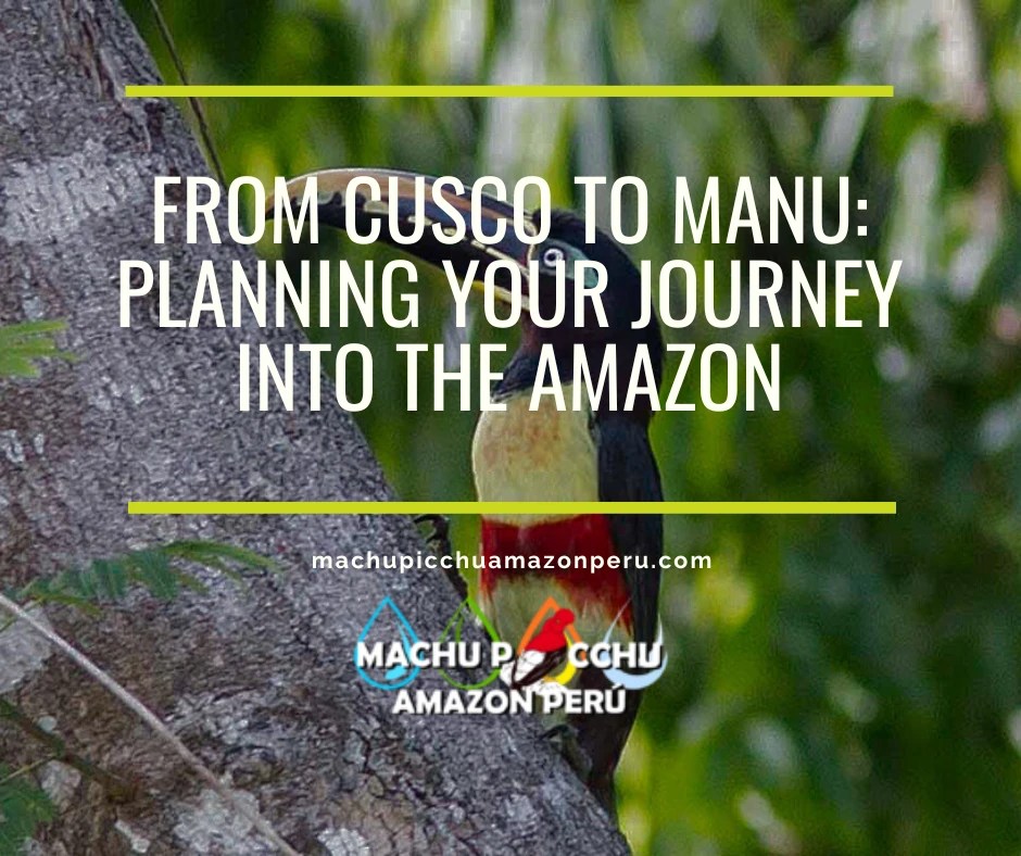 From Cusco to Manu: Planning Your Journey into the Amazon