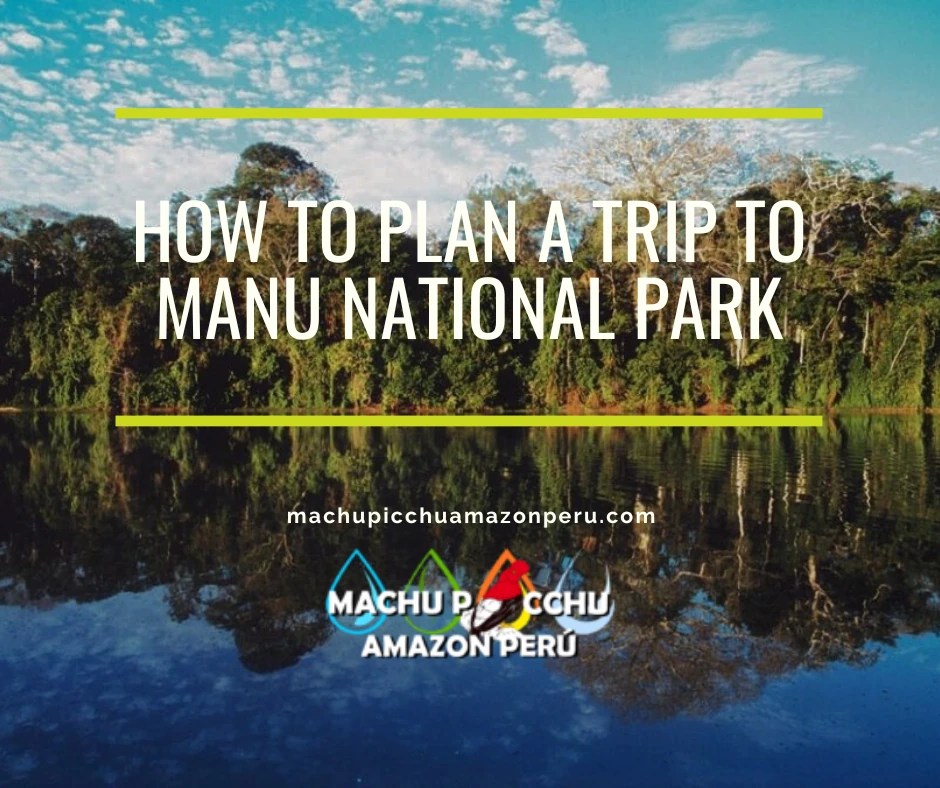 How to Plan a Trip to Manu National Park