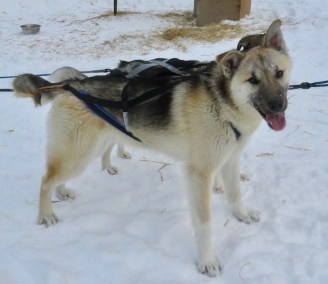 Major age 8 months