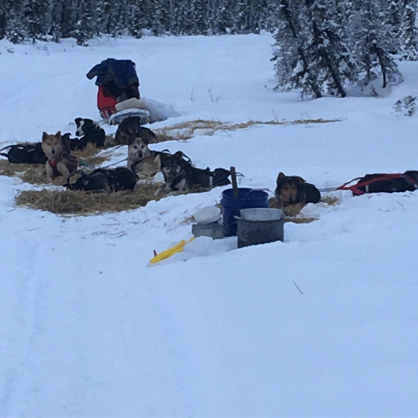 Camping November 2019