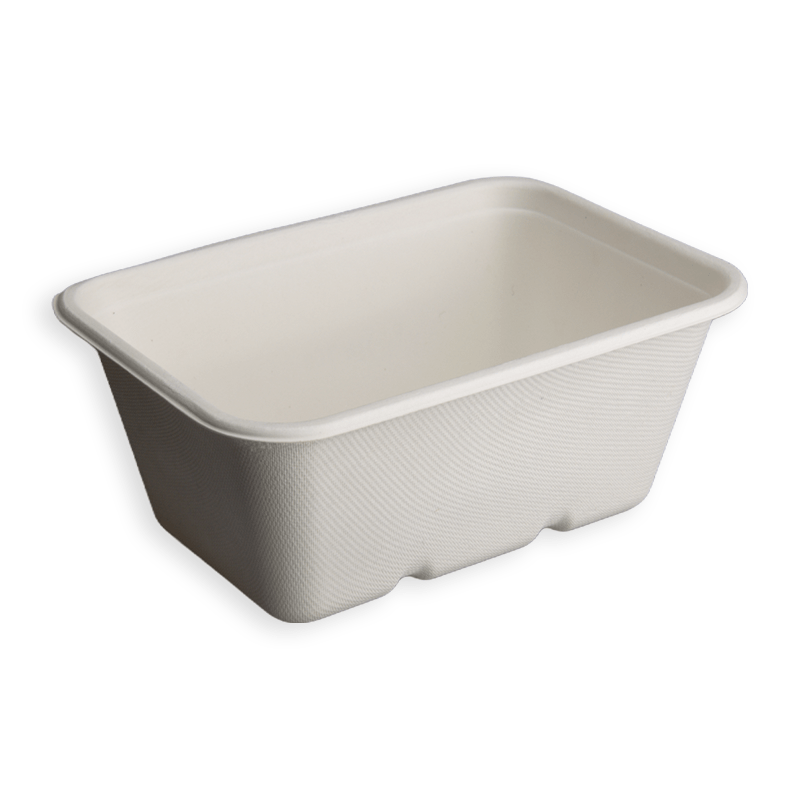 1000ml Rectangle Sugarcane Fibre Box